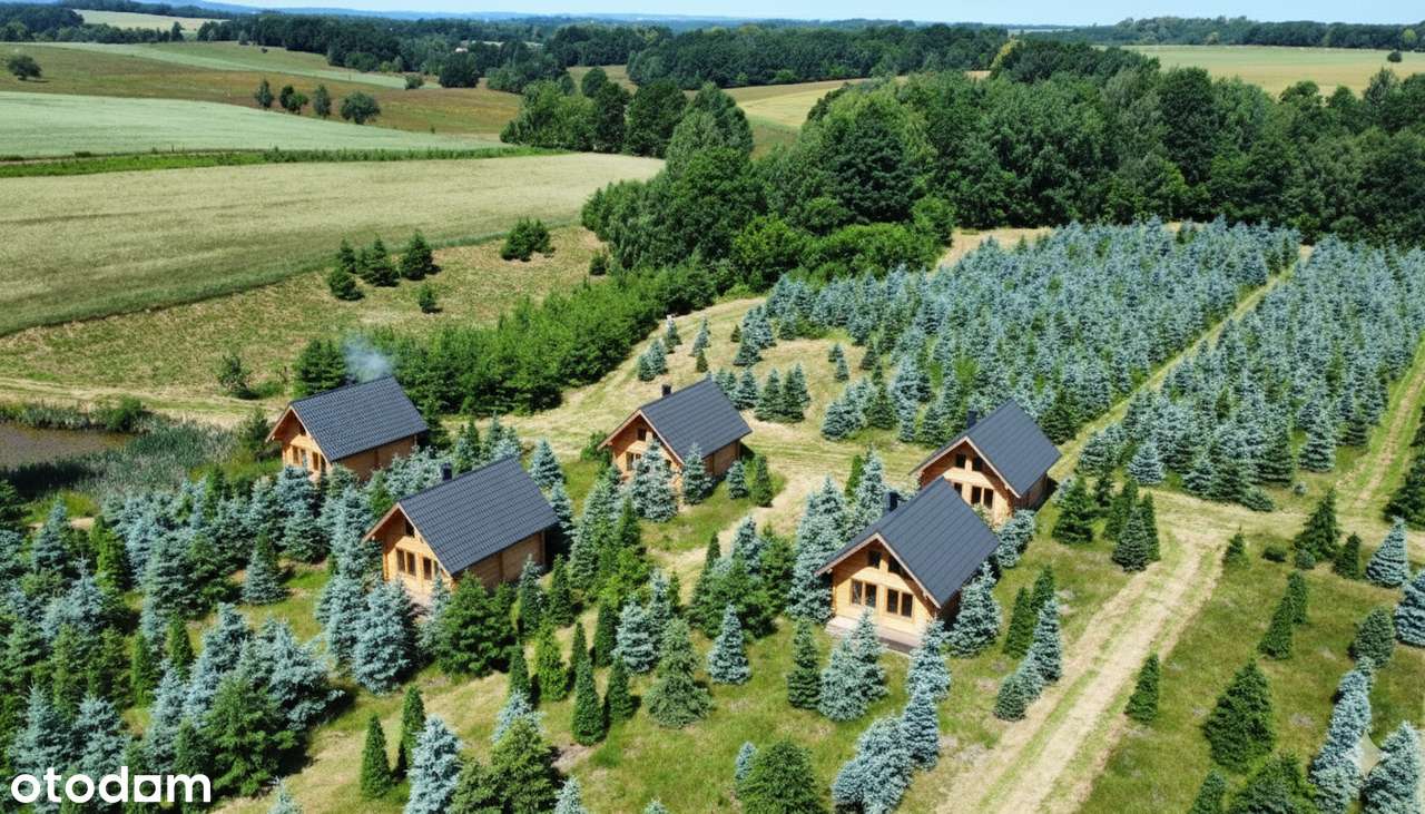 Działka, 61 800 m², Gryfów Śląski-2
