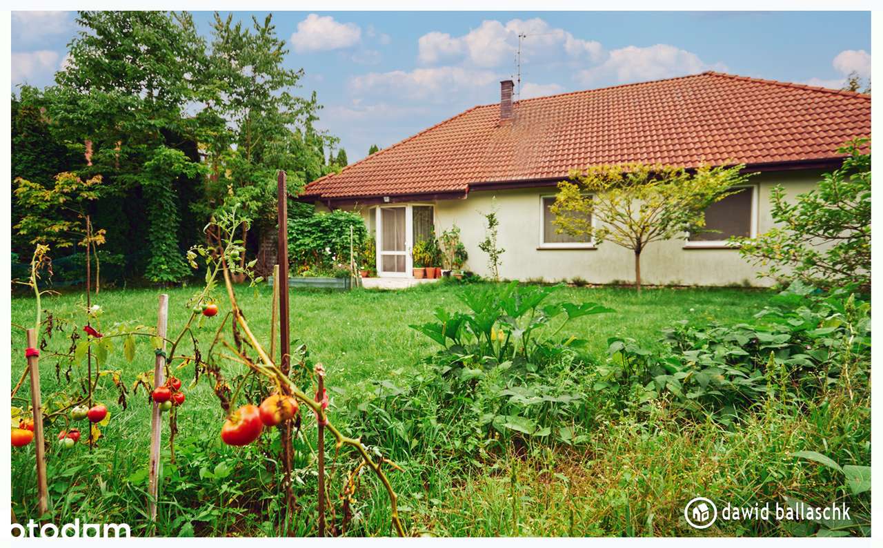 Kameralny parterowy dom blisko lasu-4