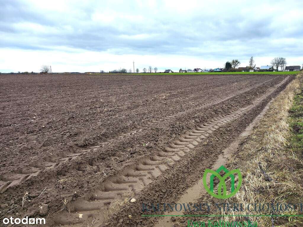 Grunty rolne 1,85 ha–Krasnybór, powiat augustowski-1