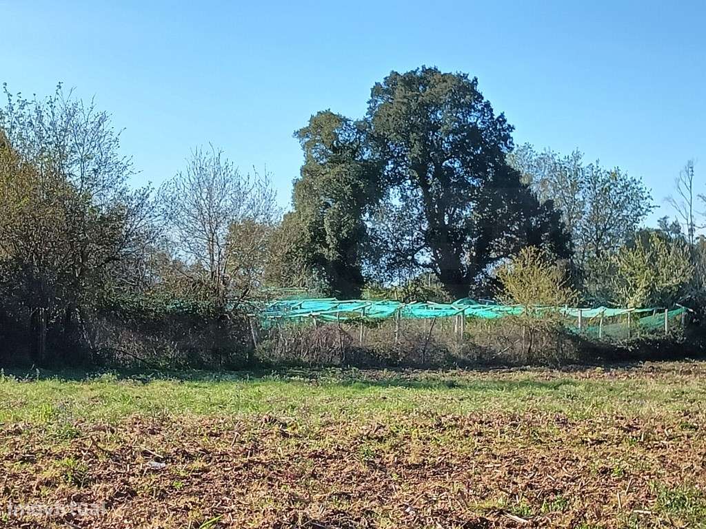 TERRENO RUSTICO - SOBREIRO - Grande imagem: 4/8