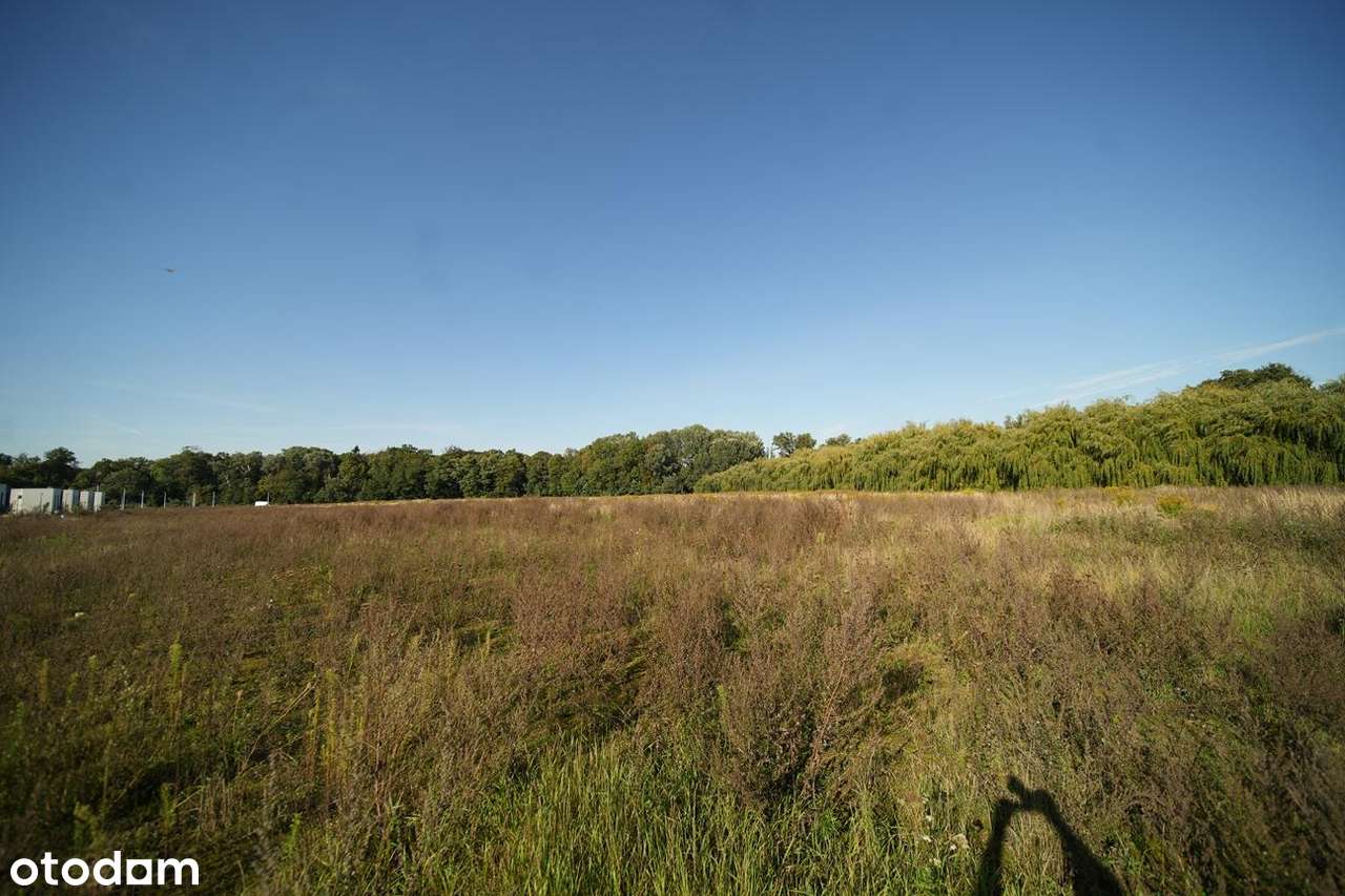 Działka w super cenie! Wszystkie media!-3