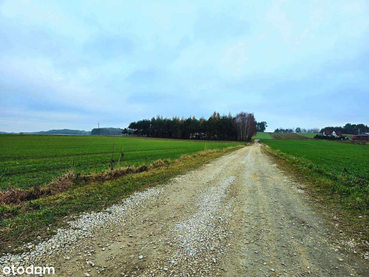 Kompleks działek | 1150 m2/1650 m2 | 5 min. od Rawy Mazowieckiej NIWNA-16