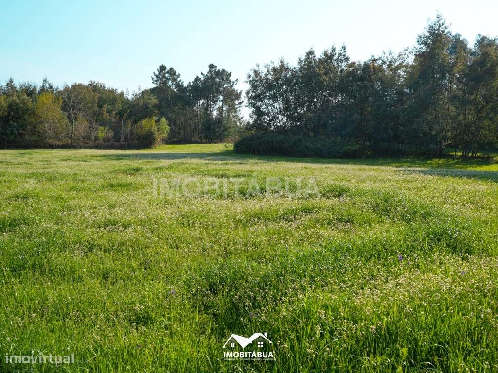 Terreno agrícola com barracão em Candosa - Grande imagem: 4/15