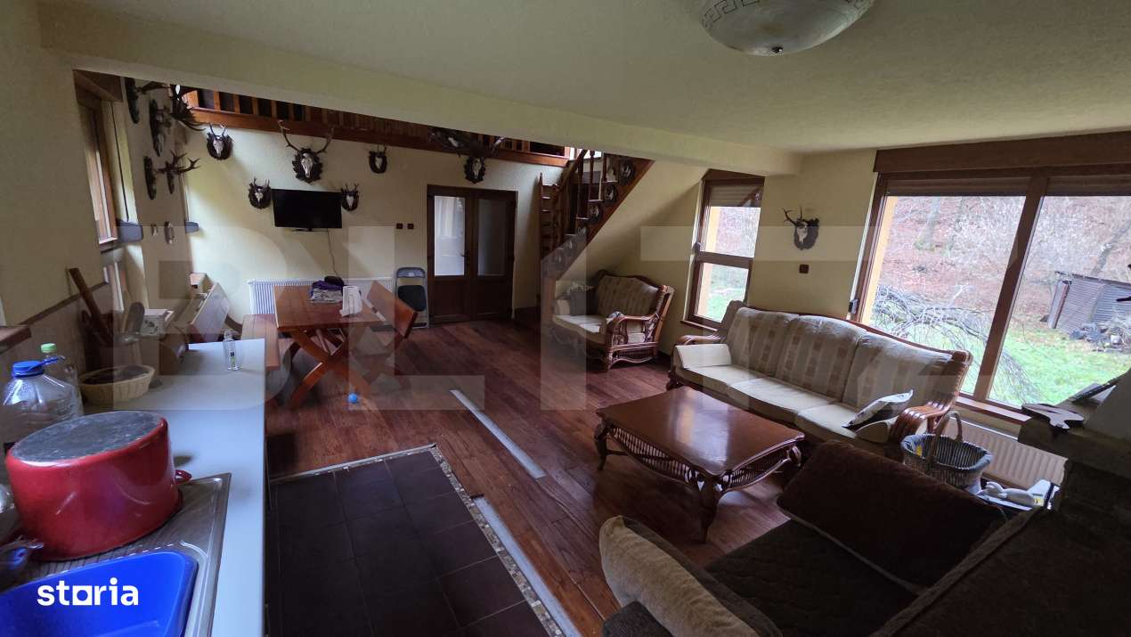 Casa de Vacanta pe Valea Ighielului – 3 camere, 2500 mp curte - Imagine principală: 2/19