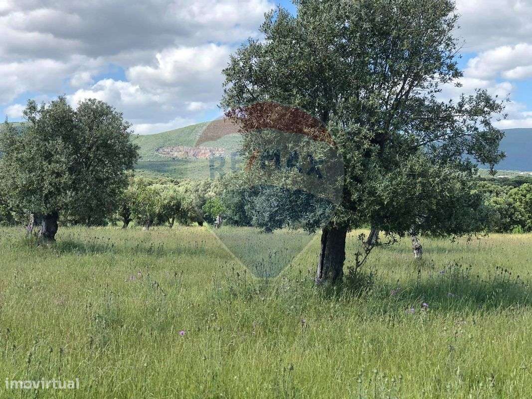 Terreno  para venda - Grande imagem: 4/8