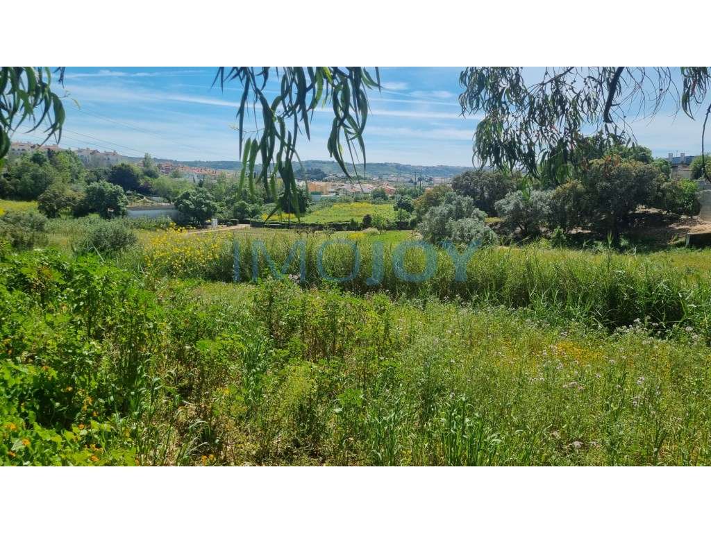 Terreno para Construção em Loures - Grande imagem: 4/10