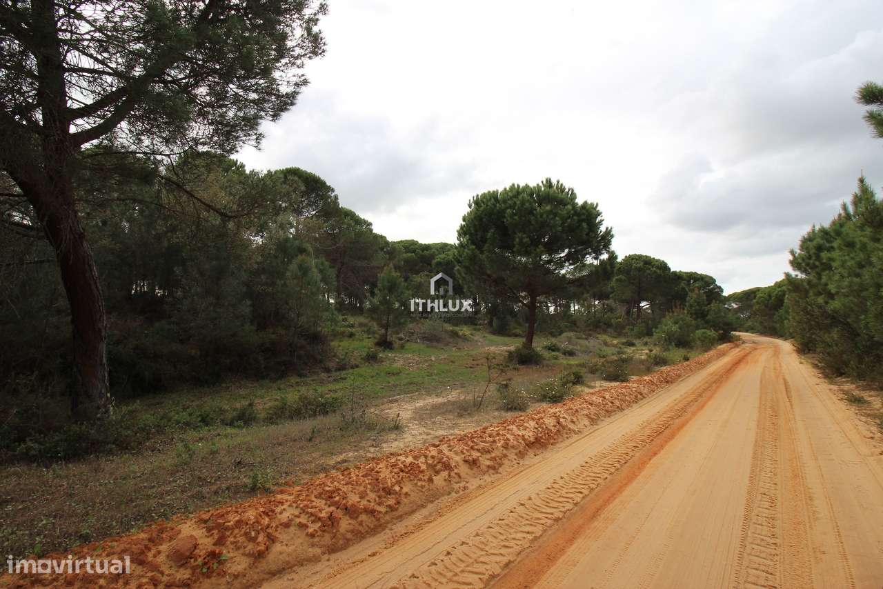Herdade com 16,1500 ha, na zona da Lagoa de Melides, com viabilidade p - Grande imagem: 3/32