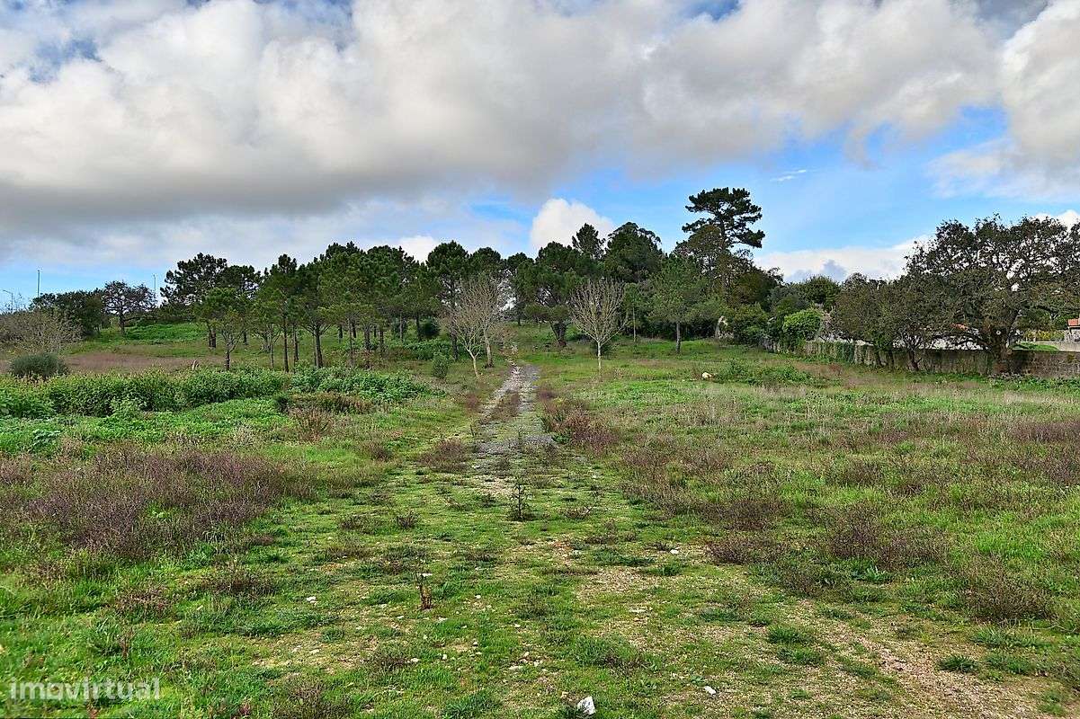 Armazém  para venda-4