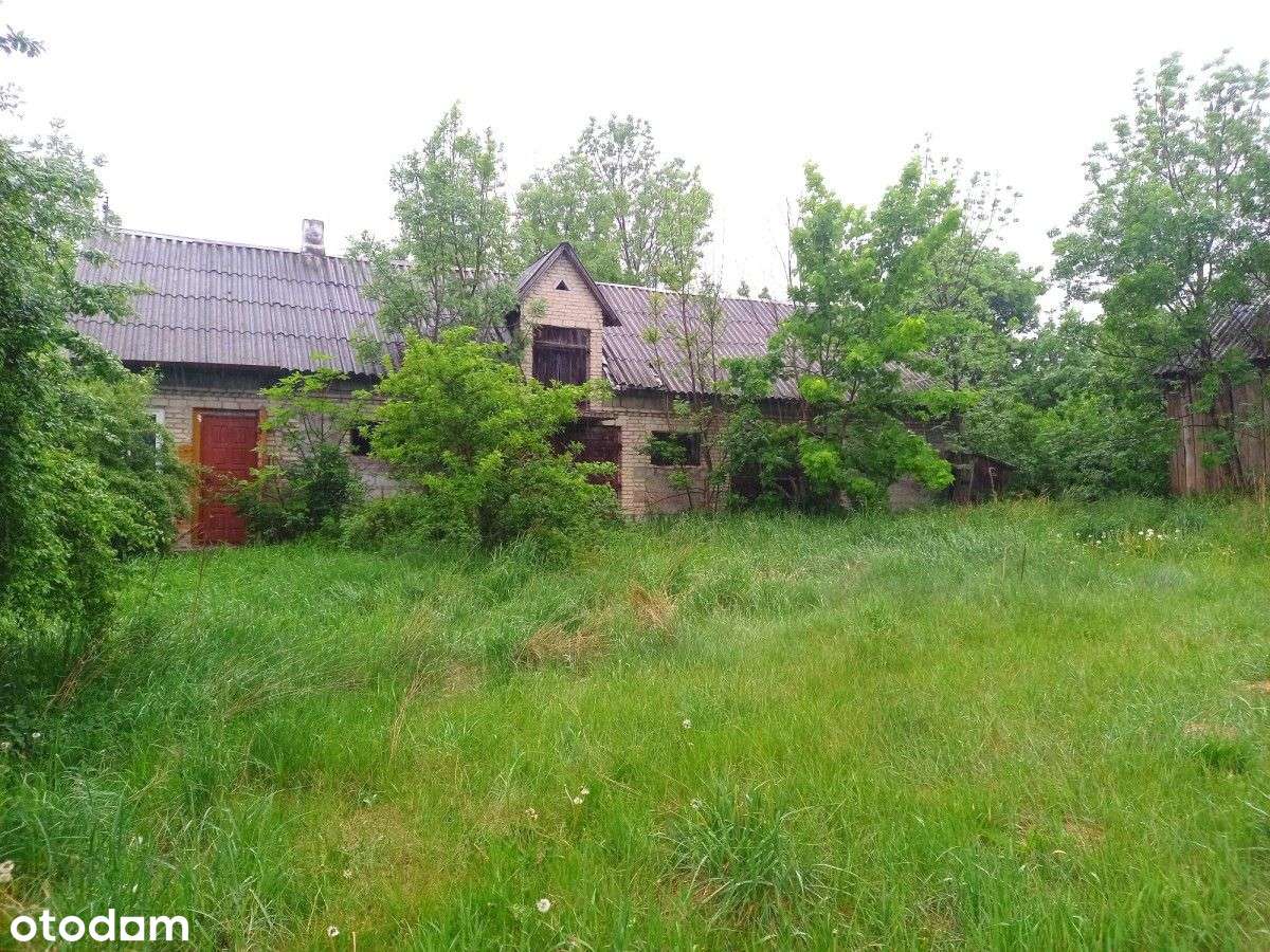 Siedlisko z dobrym wjazdem na autostradę !!! - Pełny obrazek: 5/19