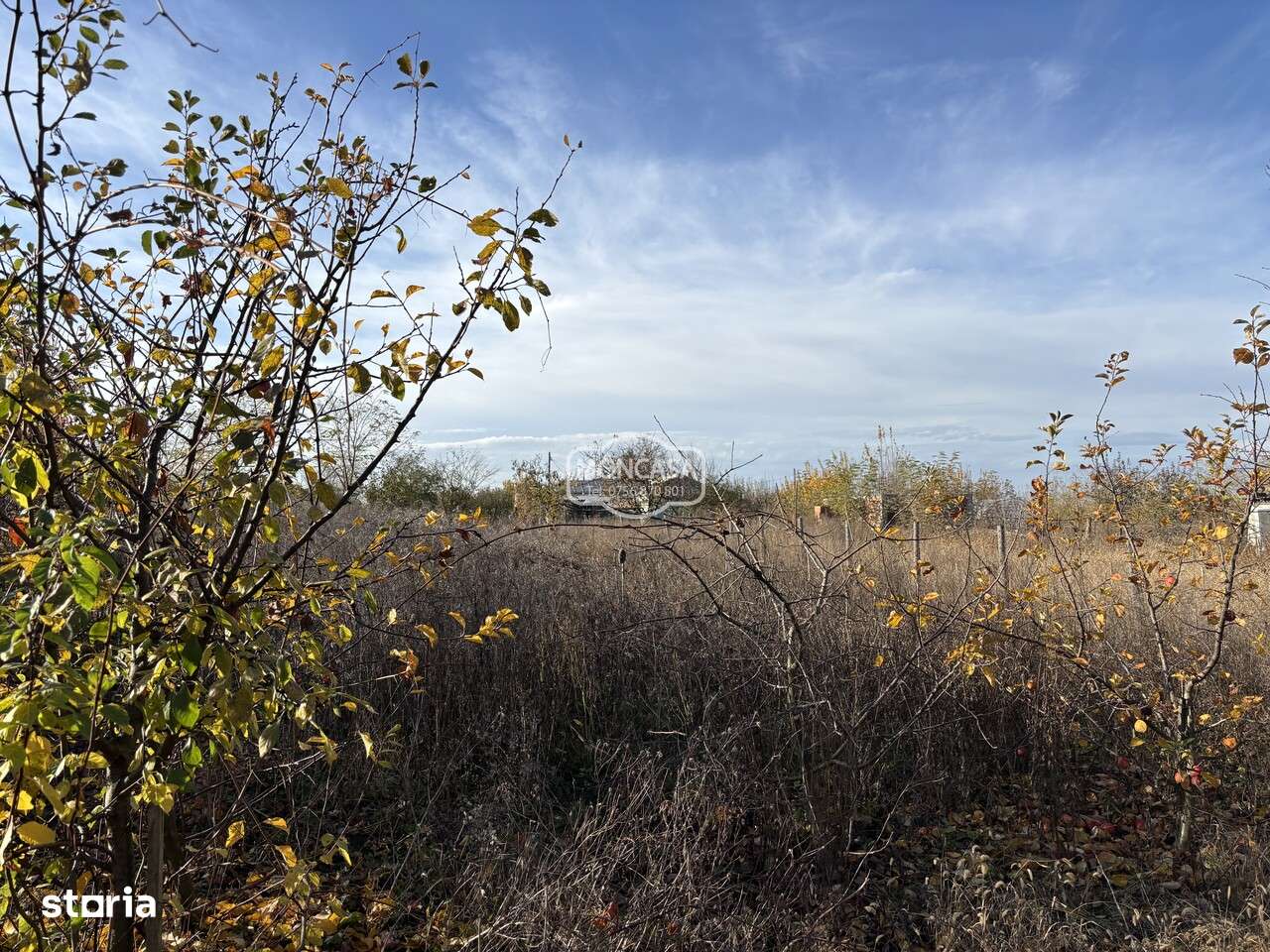 Casa batraneasca cu  teren intravilan, S- 1150 mp - Imagine principală: 4/4