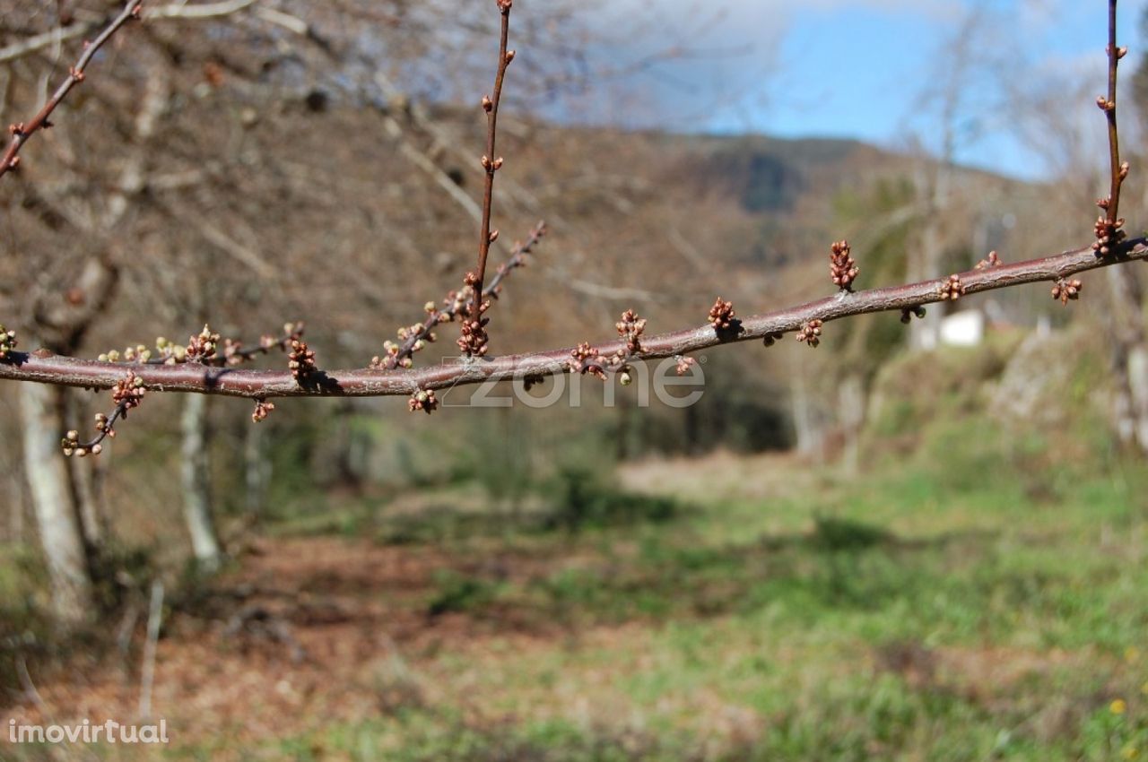 Terreno em Godinhaços, Vila Verde, Braga