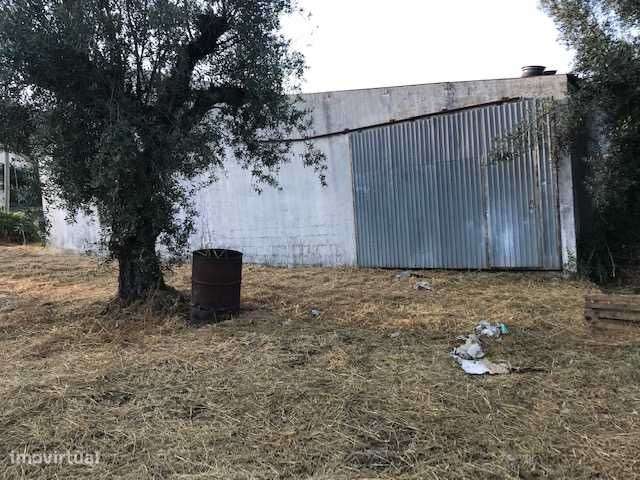 Armazém /Oficina com terreno - Grande imagem: 4/8