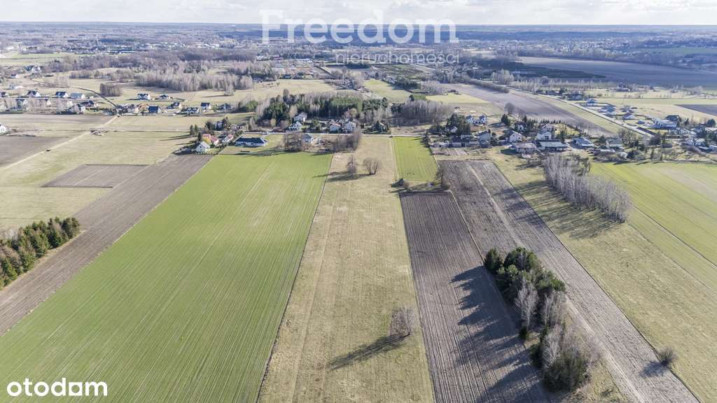 Działka 3.000 m2 k. Grodziska Maz. i terenow CPK - Pełny obrazek: 5/9