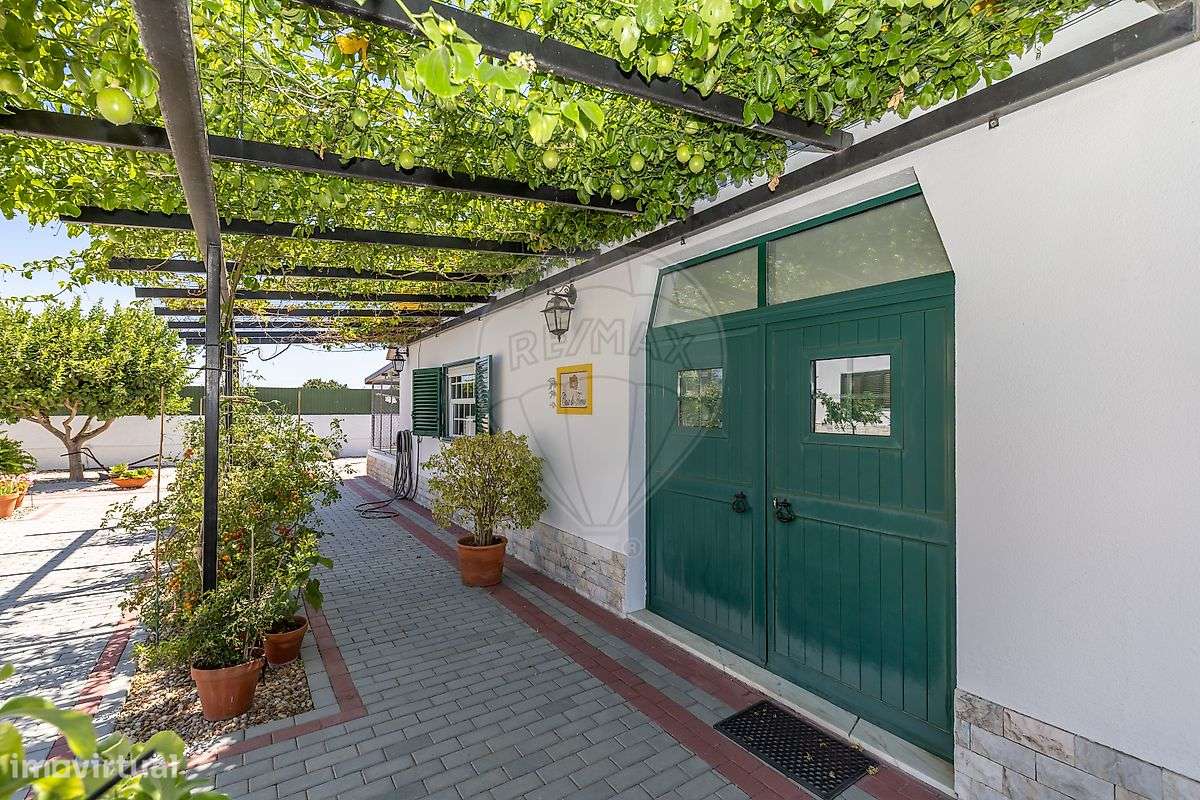 Quinta  para venda-14