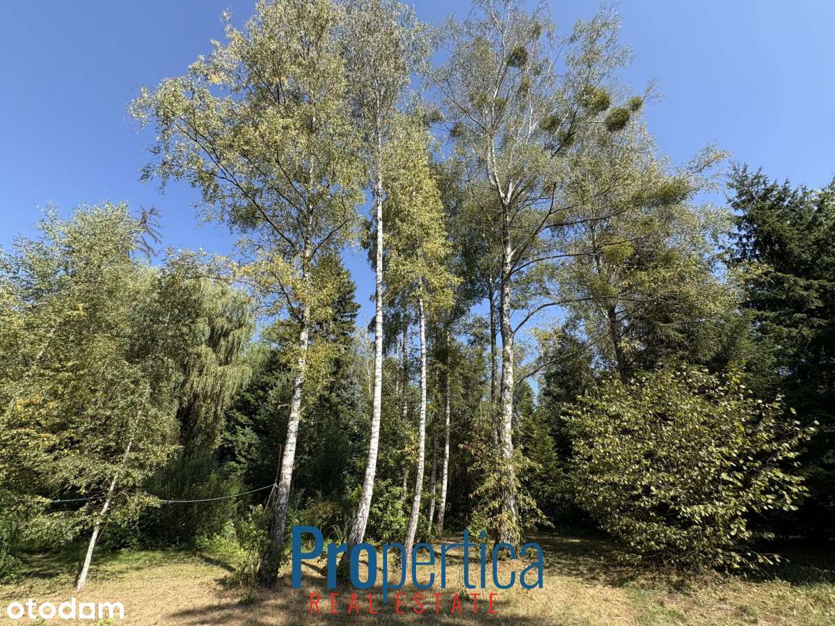 Piękny Ogród - działka w Konstancinie plus dom-8