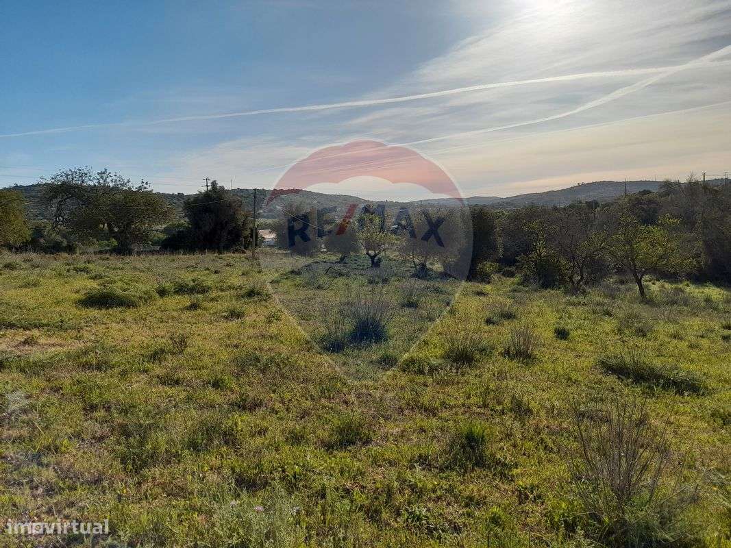 Terreno  para venda - Grande imagem: 5/6