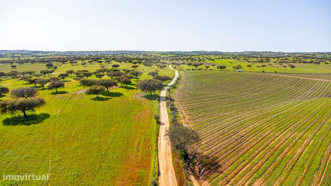 Terreno  para venda - Grande imagem: 2/50