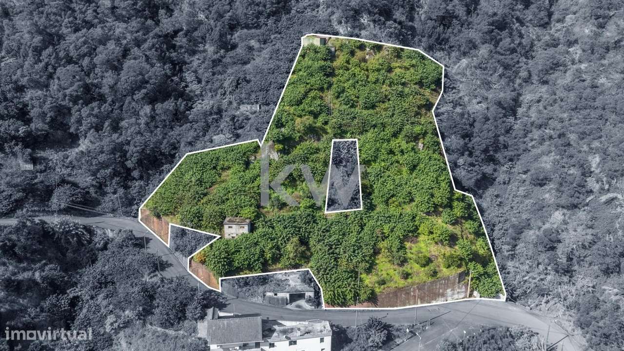 Terreno com 7340 m2, Localizado no Concelho de Santana, Freguesia do F - Grande imagem: 4/16