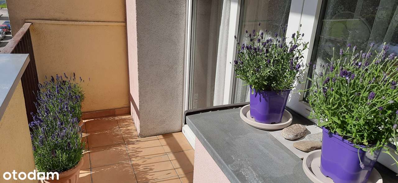 SPRZEDAM: Mieszkanie 48 m² Szczecin Pomorzany (BEZ POŚREDNIKÓW) - Pełny obrazek: 2/14