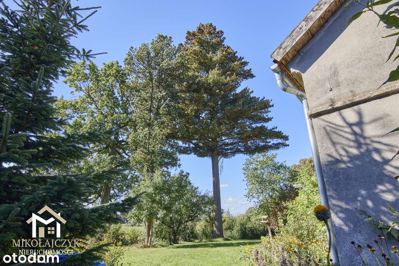 Wyjątkowe siedlisko w uroczej wsi Sówki / 0,5 ha-15