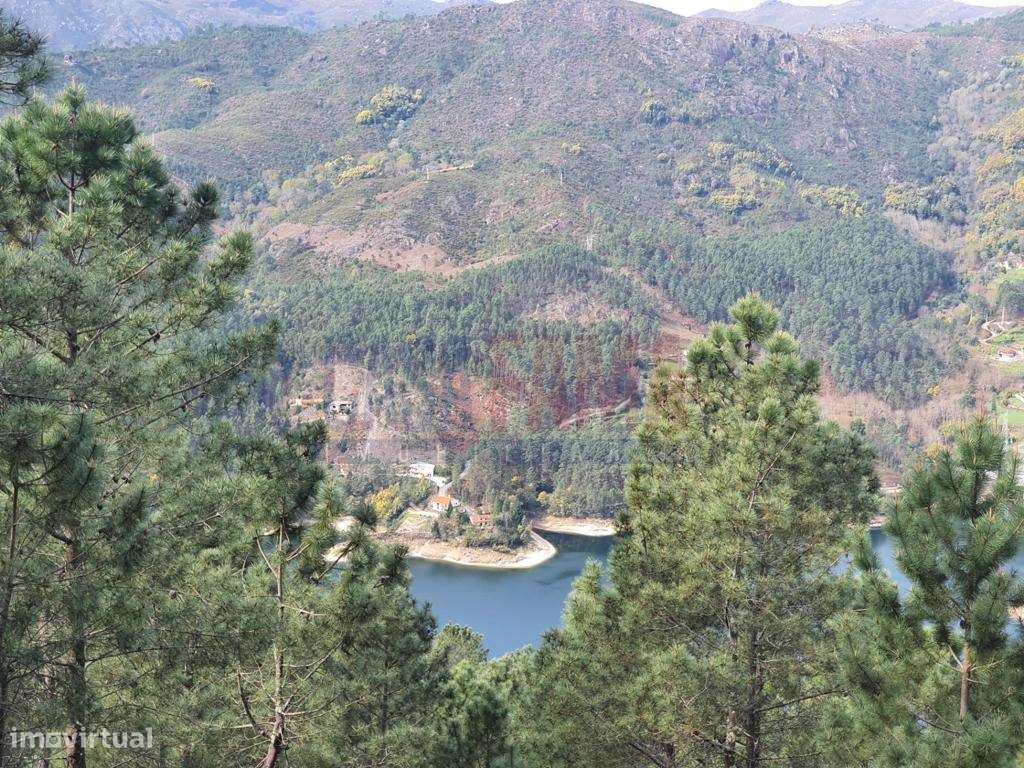 Terreno com 7000m2 junto à barragem no Gerês - Braga - Grande imagem: 4/9