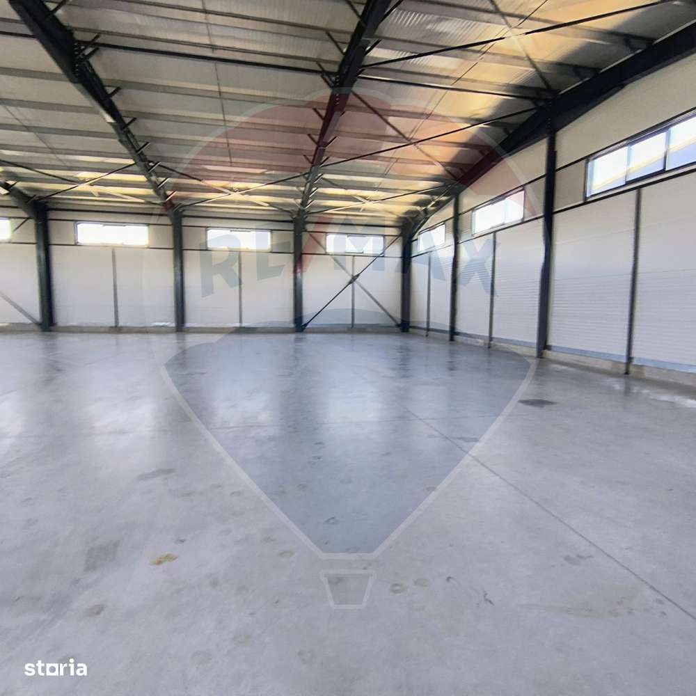 Spațiu industrial hala 597 Mp de inchiriat Ciorogarla - Imagine principală: 5/8