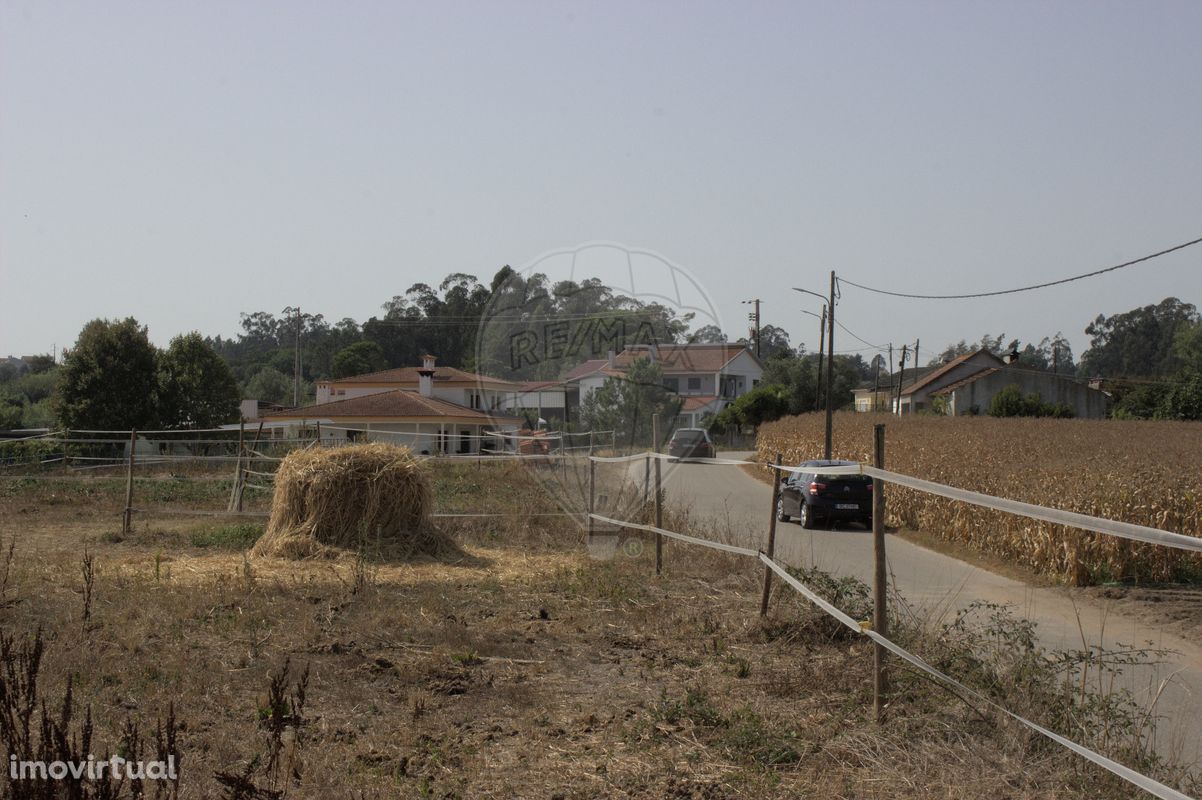 Terreno  para venda