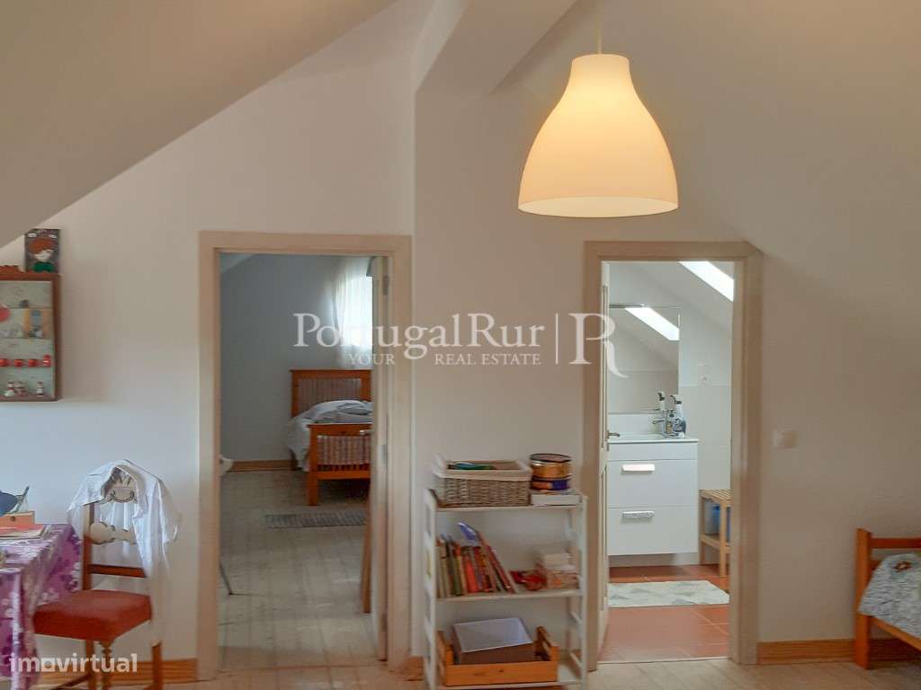 Quinta Rural 8.000 m2 - 2 Casas Habitáveis - confina com Ribeira-13