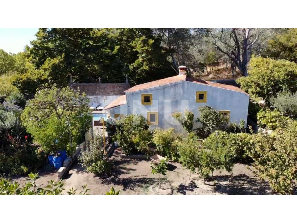 Quinta do Pomar - Reguengo e São Julião - Um refúgio entre o campo ...-17