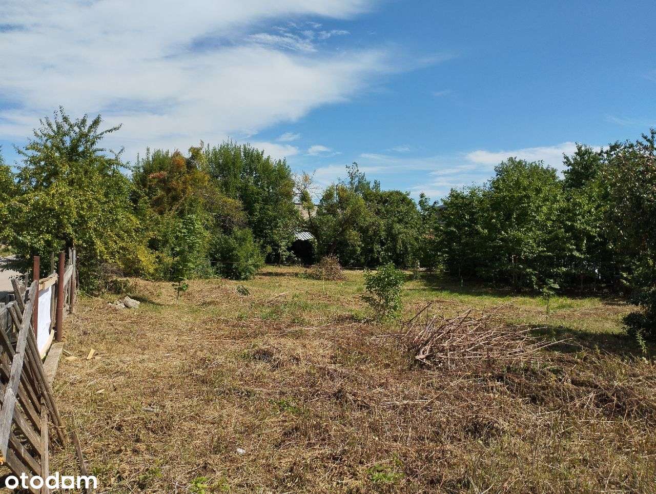 Działka w Grabówce BEZPOŚREDNIO - Pełny obrazek: 5/17