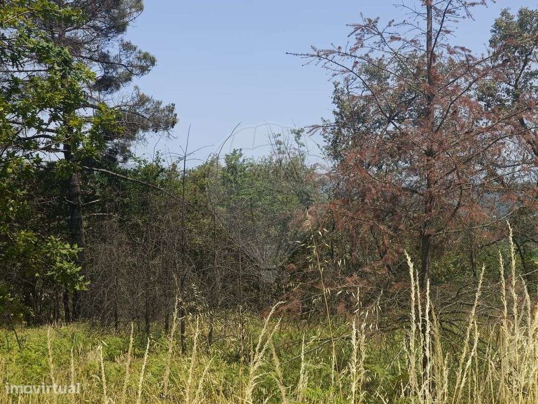 Terreno  para venda - Grande imagem: 4/12