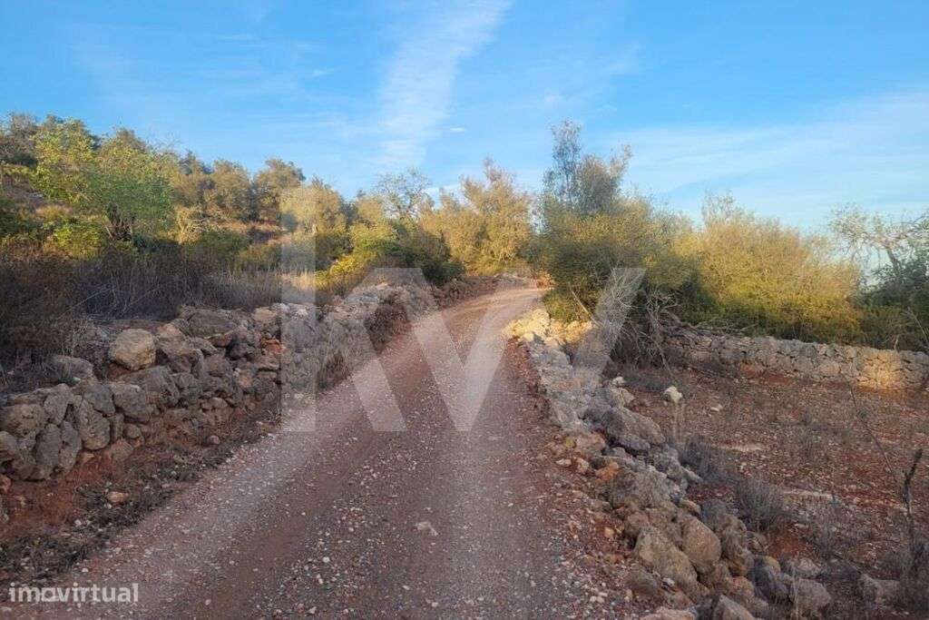 TERRENO RÚSTICO NO CERRO DE SÃO VICENTE EM PADERNE-ALBUFEIRA - Grande imagem: 5/8