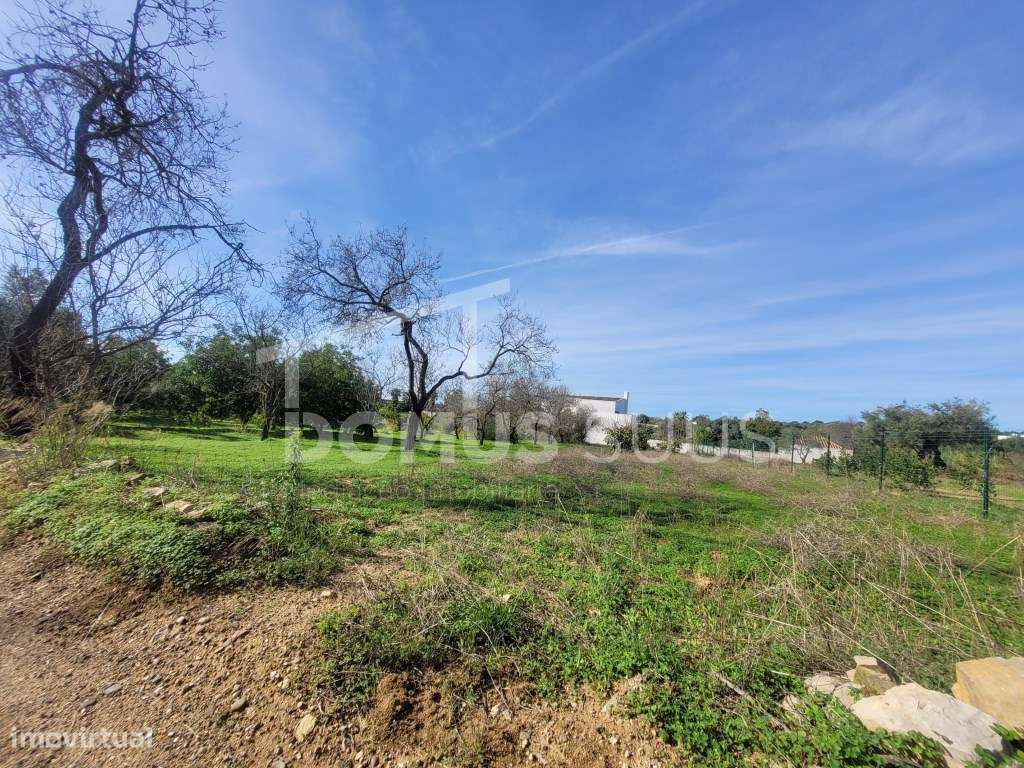 Terreno com 4200m totalmente plano com ótimas acessibilidades-4