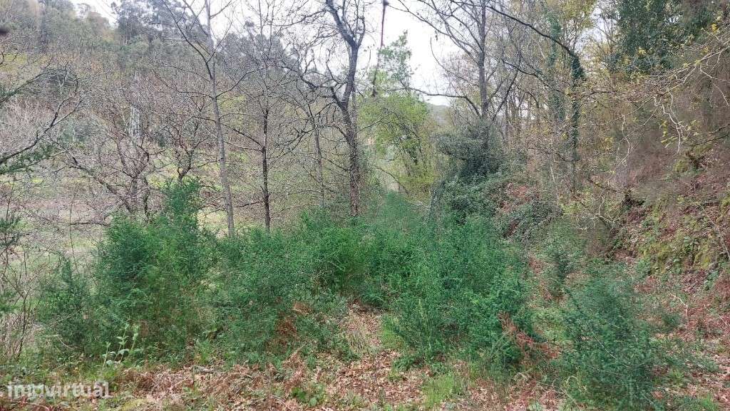 Terreno - Caldelas - Grande imagem: 4/16