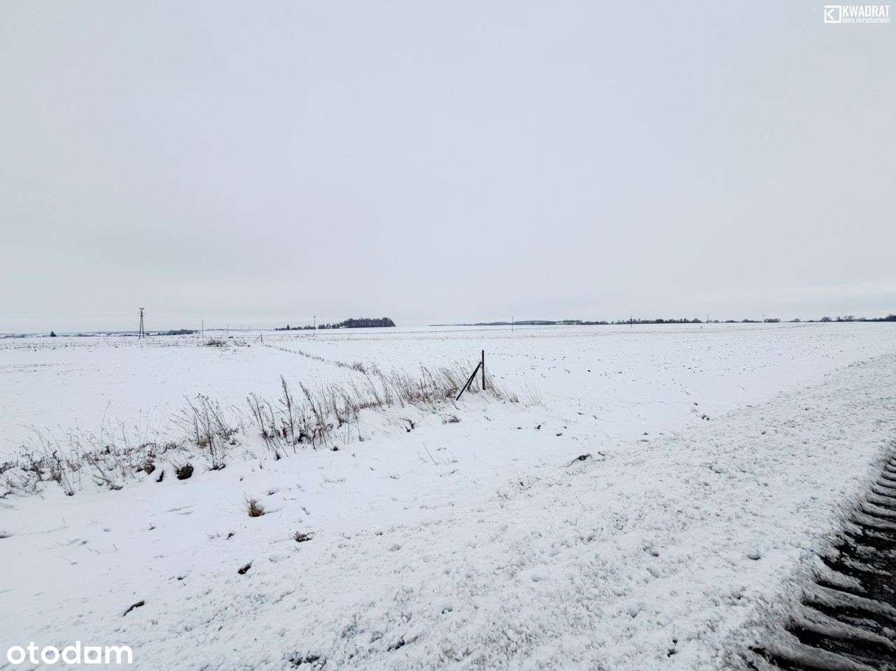 Jabłonna - Wierciszów - działka budowlana - 9 a - Pełny obrazek: 4/8