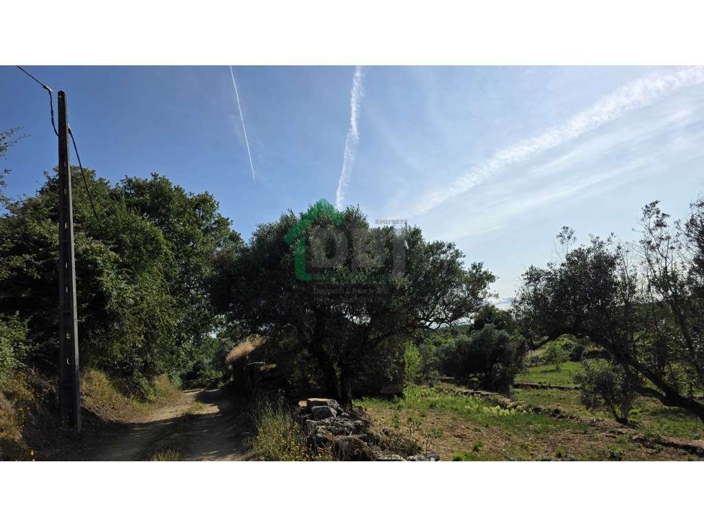 Quintinha - Grande imagem: 3/11