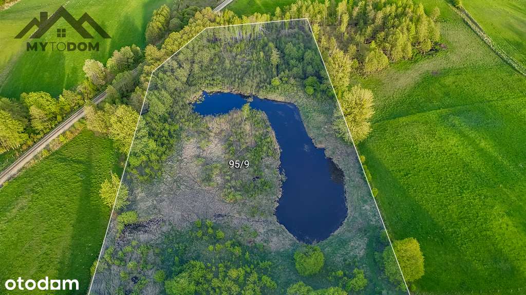 Działka 2.46h ze stawem w otoczeniu lasów i jezior-7