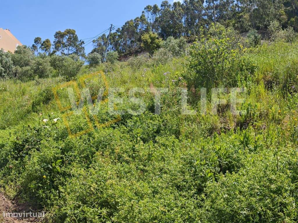 Terreno Rústico de 16.000m2 com 1.700m2 Urbanos - EXCLUSIVO WEST LI... - Grande imagem: 5/17