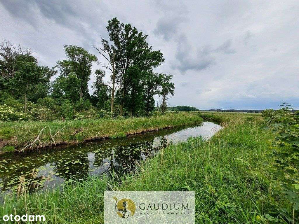 Turystyka nad brzegiem rzeki Obry-5