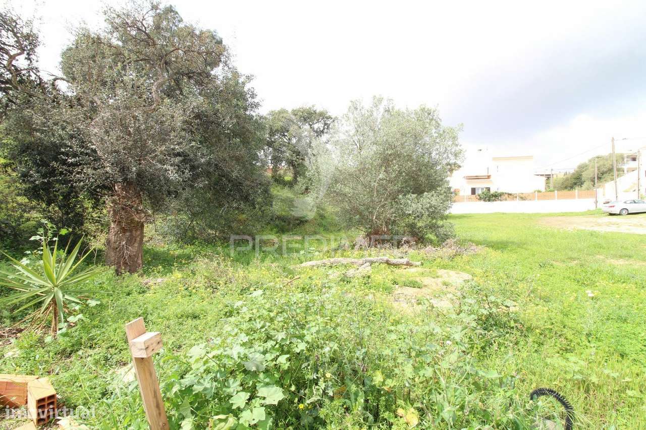 Loteamento urbano para 6 moradias, piscina e bar de apoio - Algoz - Grande imagem: 4/17