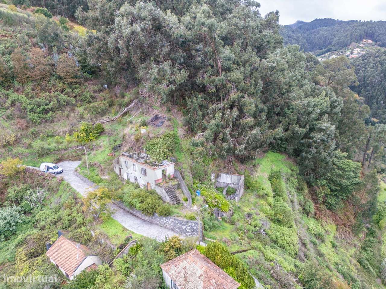 Terreno com 7.730 m2, situado nas zonas altas de Santa Cruz - Grande imagem: 5/27
