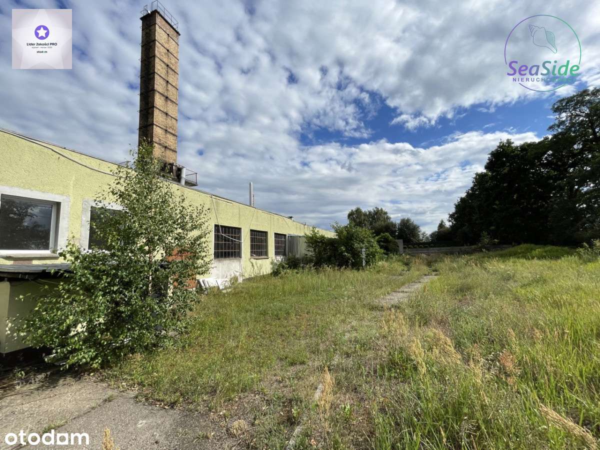 Obiekt przemysłowy 20 km od autostrady A2 !!! - Pełny obrazek: 4/7