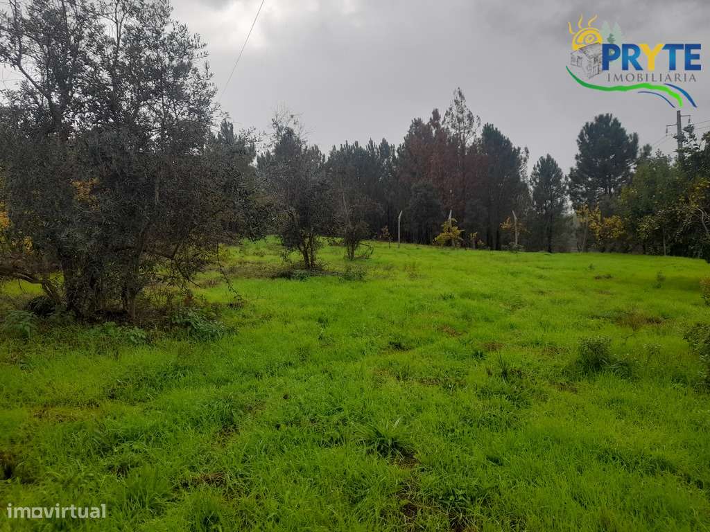 Moradia de tipologia T2 situada a 5 minutos da Vila da Sertã-33