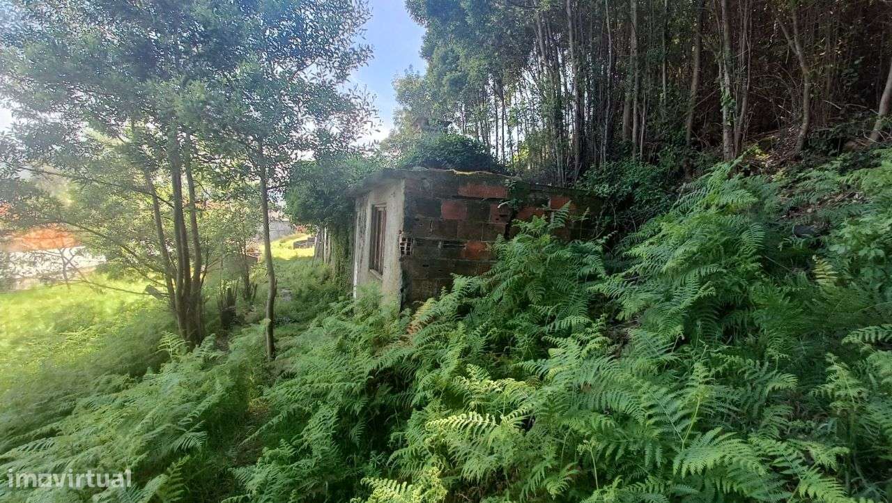 PRÉDIO MISTO ( Urbano e Rústico ) - Oliveira de Azeméis-7