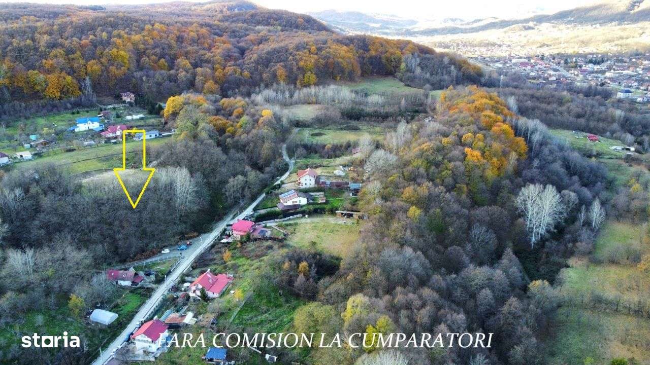 Teren Construibil, Partial Impadurit, 4726 mp Intravilan - Imagine principală: 3/10