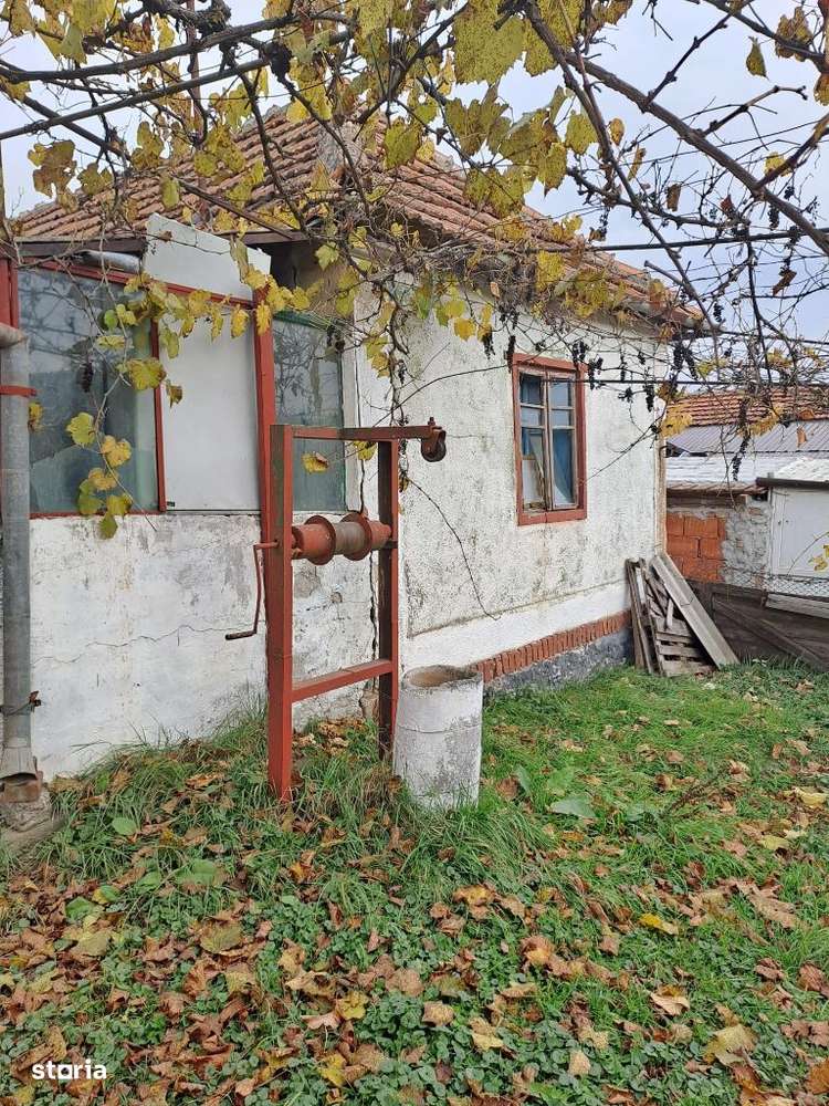 Casa taraneasca cu teren 2400mp in Santelec - Imagine principală: 4/4