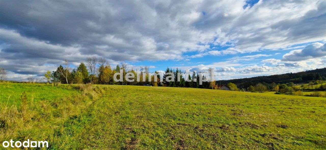 Widokowe działki z Wz Srogów Dolny - Pełny obrazek: 5/18