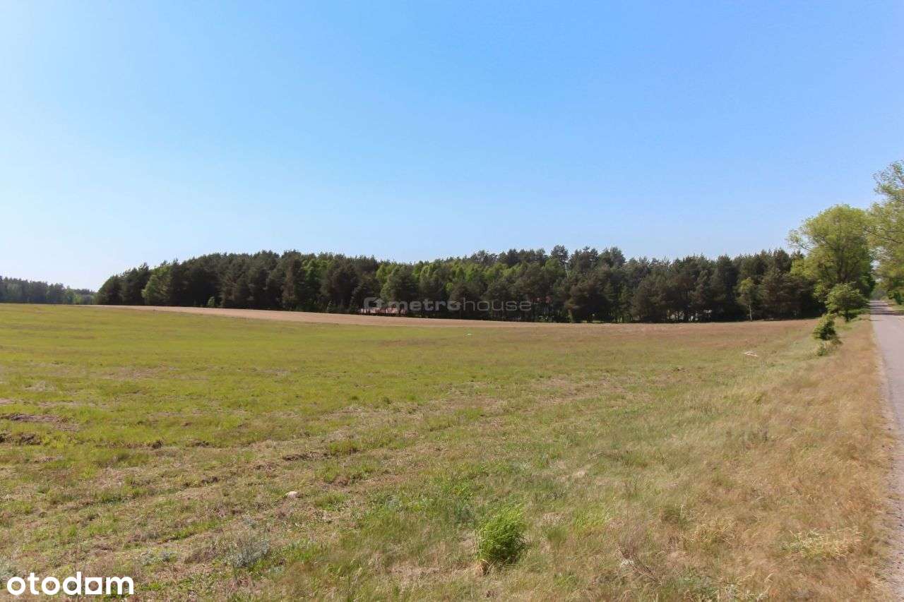 Na sprzedaż działka budowlana miejscowości Spore, - Pełny obrazek: 5/7