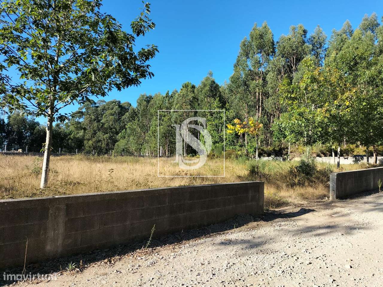 Terreno  Venda em Remelhe,Barcelos - Grande imagem: 2/6