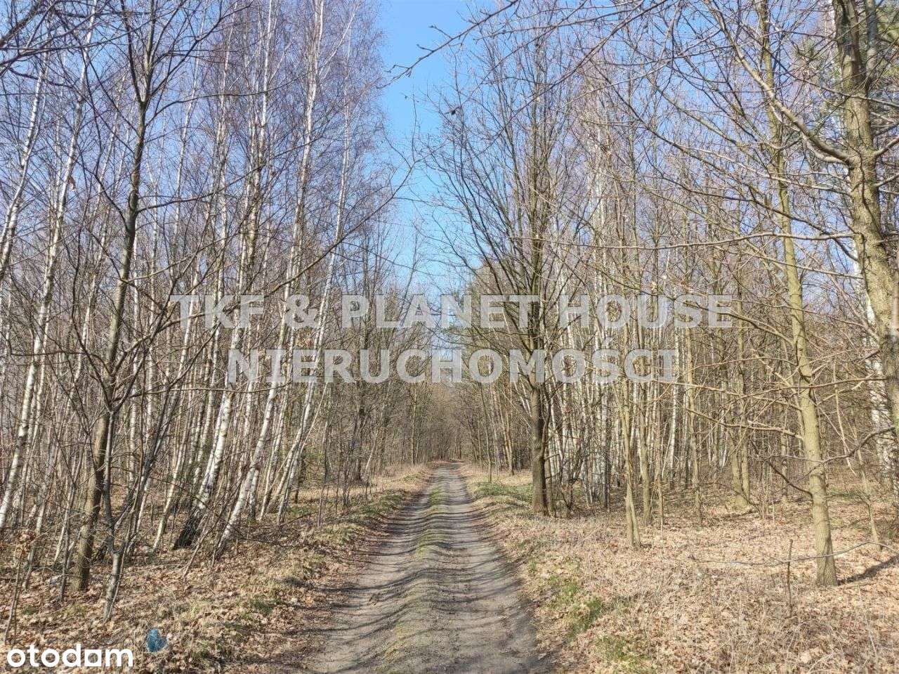 Działka na sprzedaż 397 m2 ul. Przemysłowa Opoczno - Pełny obrazek: 5/6